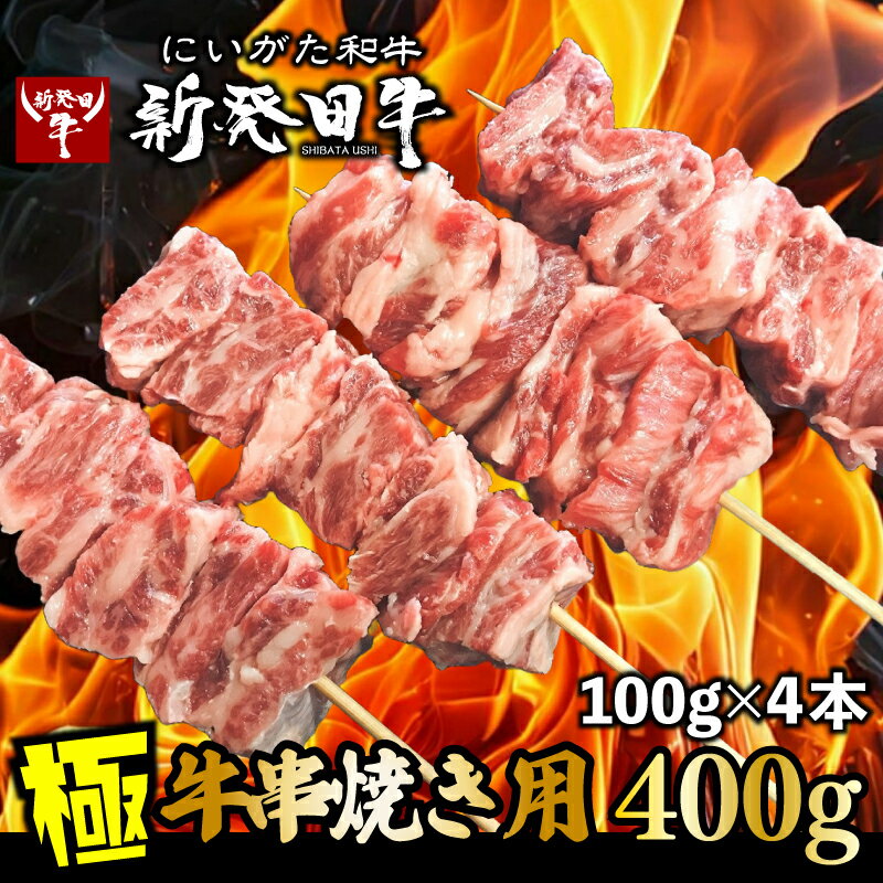 【ふるさと納税】 牛串 100g×4本 新発田牛 串焼き 和牛 ブランド 黒毛和牛 焼肉 焼き肉 やきにく 新潟 新発田 バーベキュー BBQ キャンプ 冷凍 アルビレックス アルビレックス新潟 近江牛 神戸牛 松阪牛 米沢牛 三大和牛 に負けない えのもとミート enomoto018