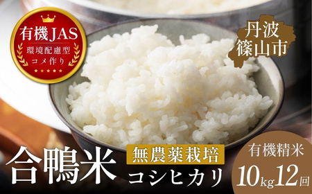 令和8年産【12回定期便】コシヒカリ 10kg 精米 無農薬 コシヒカリ