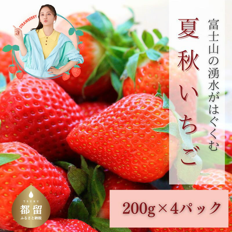 【ふるさと納税】【湧水のミネラルたっぷり！山梨の夏秋いちご】ご家庭用 200g× 4パック ※ 画像は大粒（参考）です。苺のサイズで個数が変わります！【ユニファーム】｜苺 イチゴ ギフト 果物 フルーツ いちご 甘い 農園直送