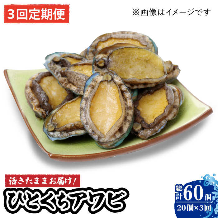 【ふるさと納税】【全3回定期便】【活きたままお届け！】 上五島産 養殖 ひとくち アワビ 厳選 20個【豊建設株式会社】 [RAE006]