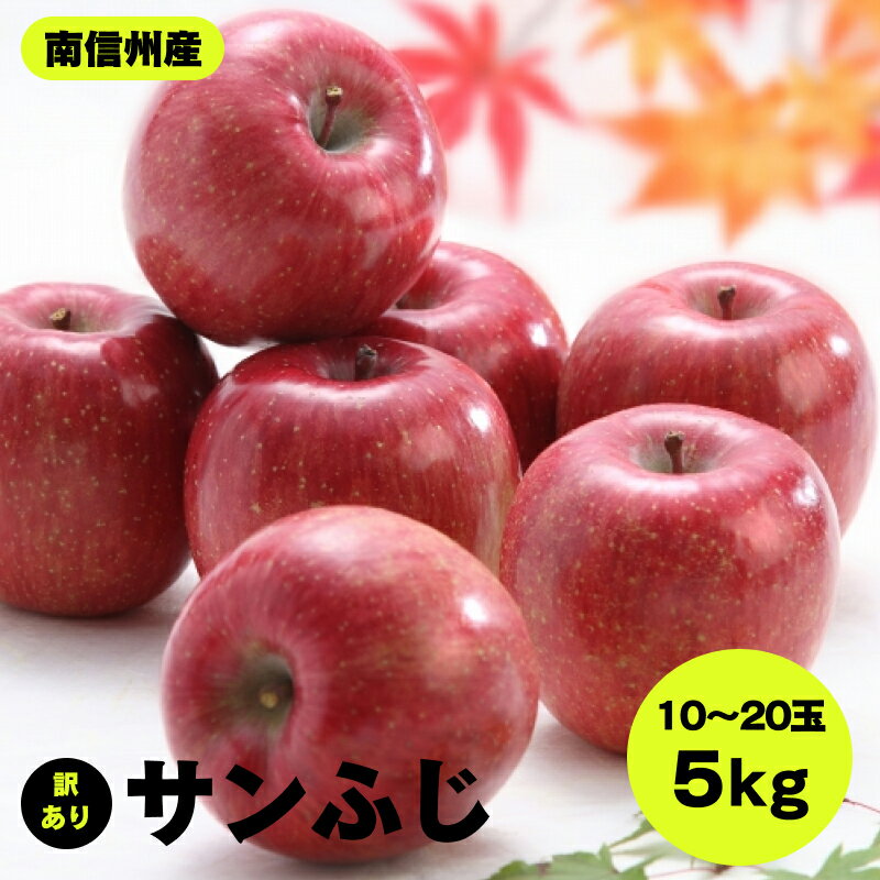 【ふるさと納税】 南信州産 サンふじ 訳あり 約5kg 10～20玉 JAみなみ信州DMセンター飯田市 | りんご リンゴ 林檎 サンふじ さんふじ 果物 ジューシー フルーツ 南信州 送料無料 ふるさと納税 長野県 飯田市 K16