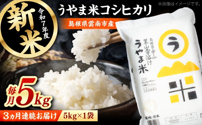 
            白米 【全3回定期便】神話の里/吉田町「うやま米」コシヒカリ 5kg（5kg×1）白米 精米 コメ おすすめ 人気 お米 米 ごはん ご飯 食卓 主食 ブランド米 お取り寄せ グルメ ご当地米 贈り物 贈答 家族 ファミリー 定期便 毎月お届け ストック 一人暮らし 5キロ おいしい 国産 新生活 毎日 お弁当 朝ごはん 島根県雲南市/有限会社藤本米穀店 [AIDB077]
          