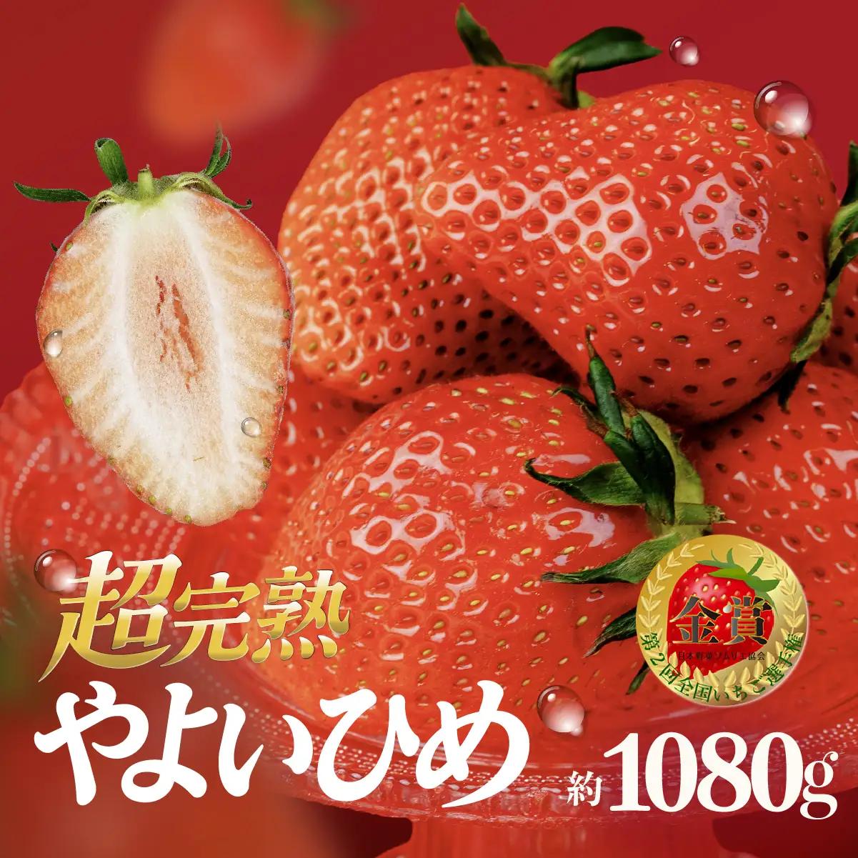 いちご【1月発送】朝採れやよいひめ レギュラー 約1080g |イチゴ 栃木県 茂木町