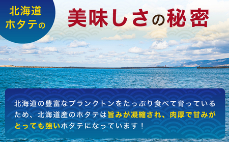 2ヵ月定期便 訳あり 冷凍 帆立 貝柱 1.1kg×2ヶ月 計約2.2kg ホタテ