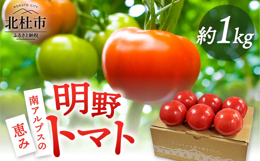 
                  明野とまと 約1kg　 トマト 詰め合わせ 新鮮 甘味 酸味 野菜 九州屋ファーム 明野町 
                
