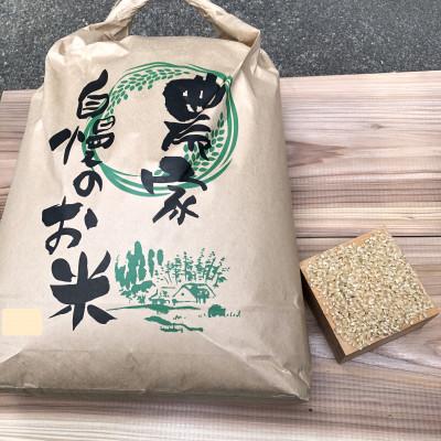 ふるさと納税 魚津市 立山連峰の雪解け水が育む「富山米」(玄米)5kg