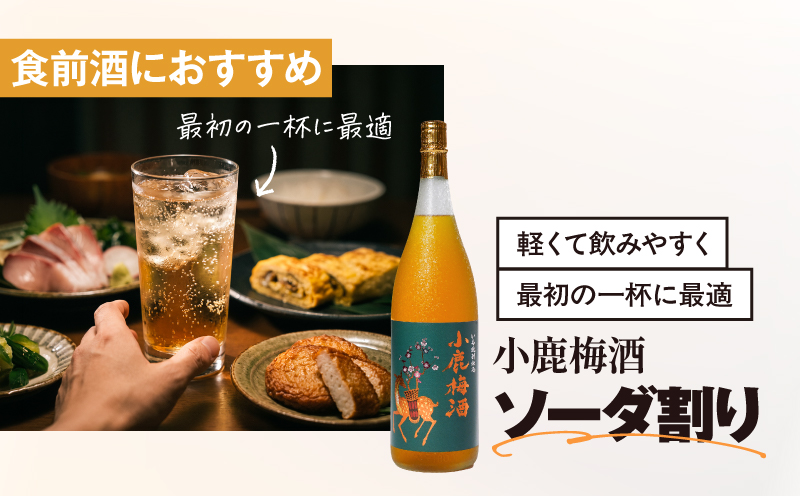 【全3回定期便】焼酎＆梅酒 1800ml×3本セット　KN148-T01