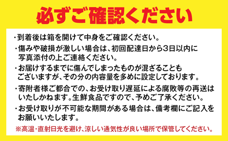 先行予約 訳あり 数量限定 不知火 計3.7kg以上 傷み補償分付き 期間限定 フルーツ 果物 くだもの みかん オレンジ 柑橘 国産 食品 不揃い 傷 規格外 訳アリ B品 ご家庭用 ご自宅用 おす