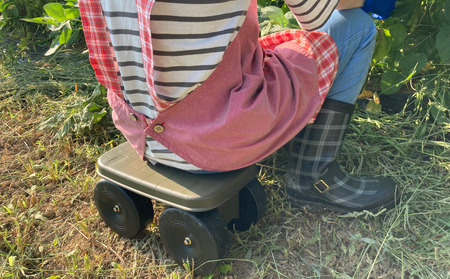 フィールドカート Cute 2個セット ガーデニング 園芸 作業イス 腰掛移動椅子 オリーブグリーン