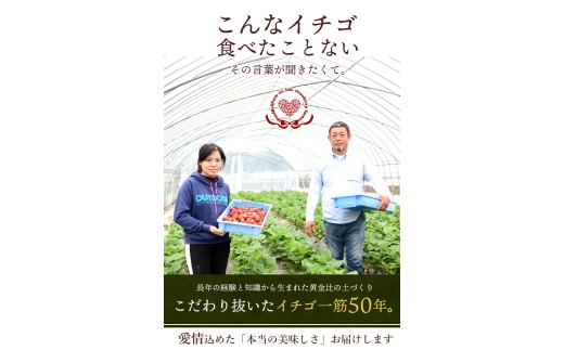 【先行予約】【2月発送】冷凍 いちご とちあいか 2kg カット済み | 2027年発送 いちご 冷凍 ヘタ取り 苺 冷凍いちご 冷凍イチゴ 冷凍苺 果物 デザート フルーツ スイーツ アイス ジャム