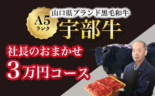 【ふるさと納税】宇部牛 杉山精肉店 社長おまかせ 3万円コース | うべ牛 黒毛和牛 A5ランク 牛肉 お肉 国産牛 ビーフ グルメ ブランド牛 霜降り 肉 希少部位 焼肉 すき焼き しゃぶしゃぶ ステーキ BBQ クリスマス お祝い 内祝 ギフト 贈答用 | 山口県 宇部市[BTAJ004]