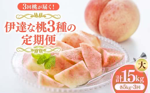 福島の桃 3回桃が届く！伊達な桃3種の定期便（大） 果物 先行予約 フルーツ 桃 モモ もも 福島県 伊達市 先行予約 フルーツ 果物 もも モモ momo F20C-790