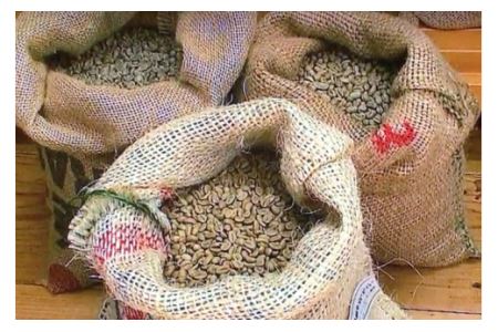 ゲイシャ以上の衝撃 超希少種コーヒー 粉 『イエメン モカボルドー』 200g