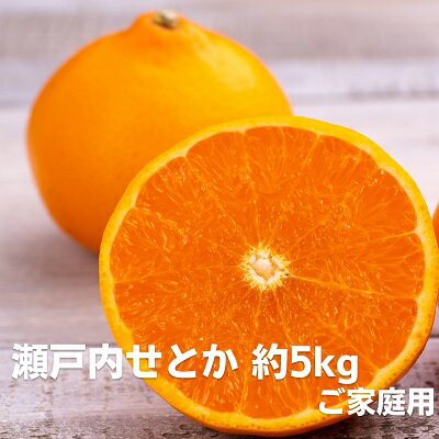 【ふるさと納税】せとか 瀬戸内 約5kg 香川県産 国産 ご家庭用 みかん 柑橘 フリーサイズ L～3L 甘い フジカワ果樹園 果実 中晩柑 不知火 しらぬひ 低温貯蔵 ハウス栽培 デコポン エコファーマー ノーワックス 香川県 観音寺市
