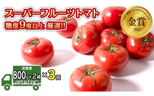 
【 先行予約 】【 3ヶ月 定期便 】 スーパーフルーツトマト 小箱 約800g × 2箱 【大玉7〜13玉/1箱】 糖度9度 以上 野菜 フルーツトマト フルーツ トマト とまと [AF047ci]
