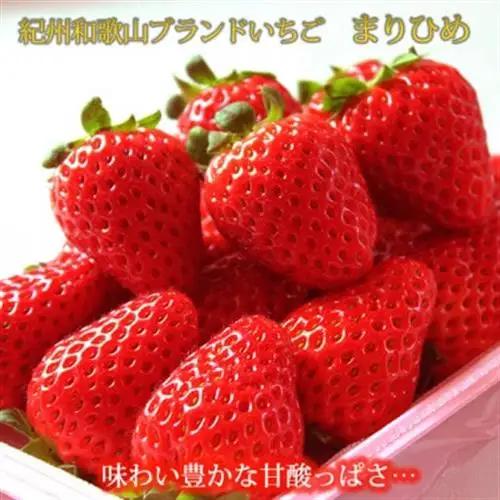 紀州和歌山ブランドいちご「まりひめ」約280g×2P【配送不可地域：離島・北海道・沖縄県】【1343154】