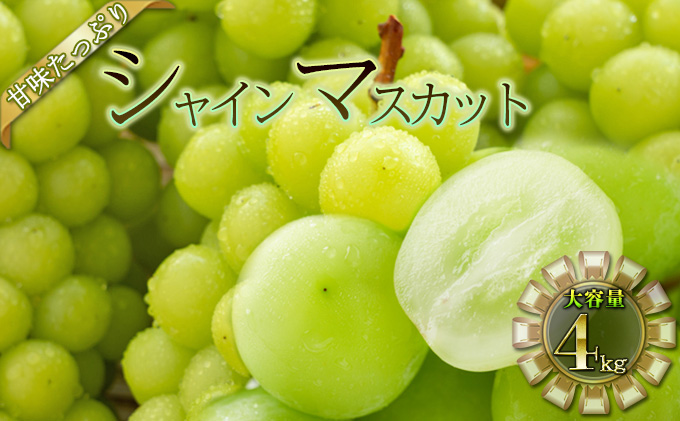シャインマスカット 4kg 果物類 ぶどう フルーツ 4kg 
