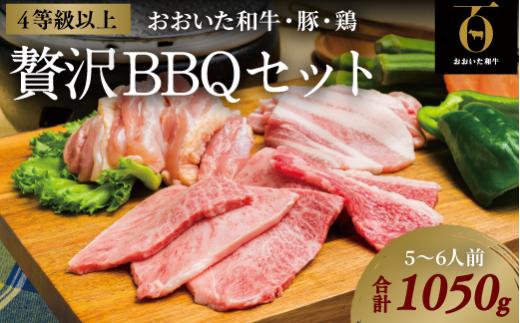 
おおいた和牛焼肉セット（合計1050g）おおいた和牛450g、豚バラ・鶏もも各300g
