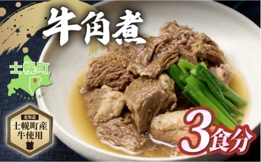 北海道 牛角煮 角煮 250g × 3個 計750g 牛 beef 赤身肉 国産牛 肉 加工品 バラ肉 おかず 惣菜 お惣菜 おつまみ 国産 冷凍 詰合せ お取り寄せ 送料無料 十勝 士幌町【W08】