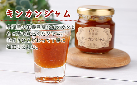 O-A4 串間産きんかん使用！「無添加」にこだわったきんかんコンポートとジャムセット(2種・合計4個)【とみやま】