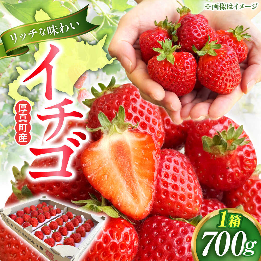 【ふるさと納税】2026年5月以降順次発送！四季成りイチゴ（キッツ信大BS8-9）700g《厚真町》 【株式会社キッツ】[AXCC003-5]