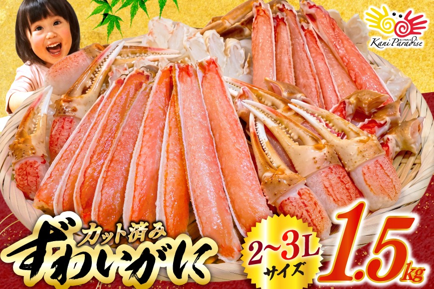 かに【年内配送】 カット済 生 ずわいがに むき身 セット 総重量 1.5kg (正味重量1.2kg) 2-3Lサイズ [カネダイ 宮城県 気仙沼市 20565690] かに カニ ズワイガニ ずわい ズワイ 蟹 棒肉 ポーション かに鍋 かにしゃぶ 生ずわい