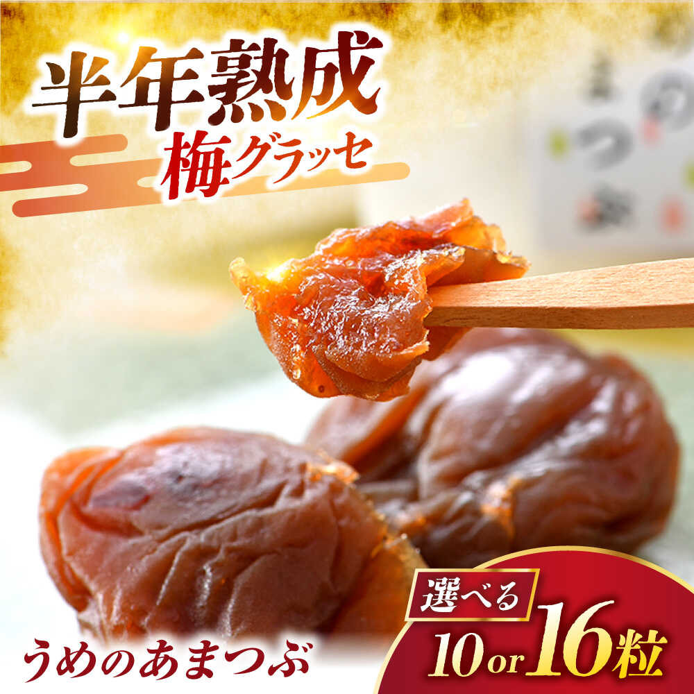 【ふるさと納税】【選べる容量】福井県産 うめのあまつぶ(梅グラッセ) 16粒or10粒入り 洋菓子 スイーツ ギフト[A-024002] [BFAU004]