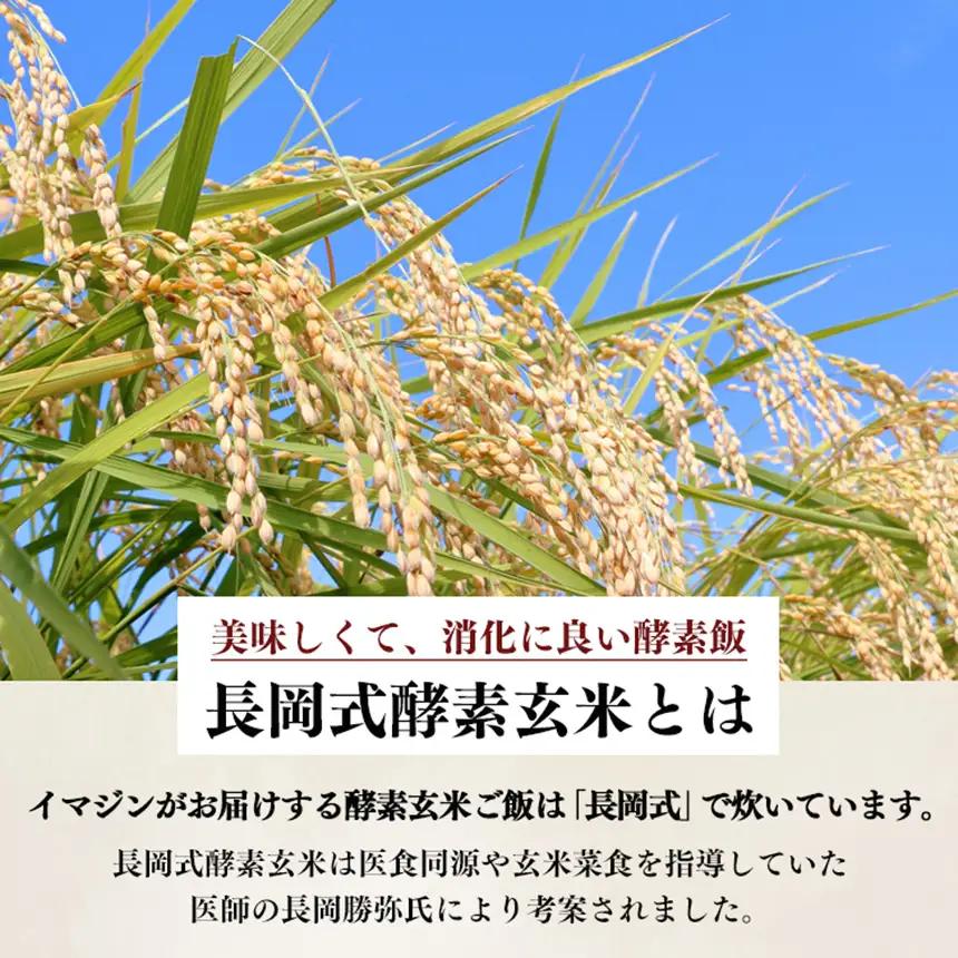 【 定期便 3回 】酵素玄米 ごはん ( 長岡式 ) 約 2.4kg | 酵素玄米 長岡式 オーガニックカフェ 奈良県 平群町