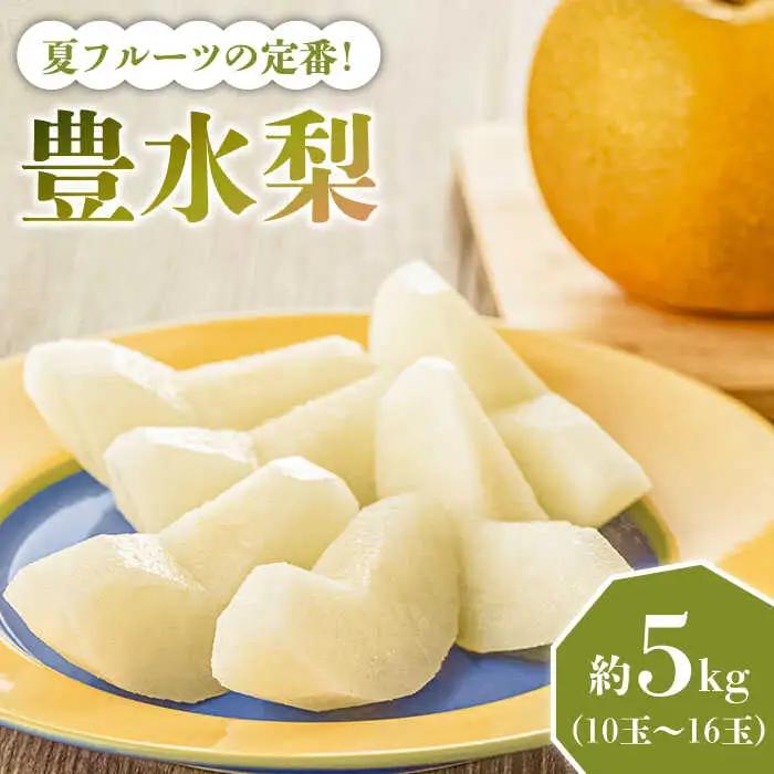 【2027年8月-発送】【口いっぱいのみずみずしさ！】豊水梨 約5kg 梨専門 八木農園 / 梨 なし ナシ / 南島原市 / 贅沢宝庫 [SDZ033]