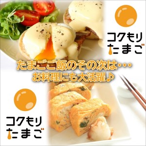 【B4-059】養鶏場直送！松浦の赤たまご『コクもりたまご』大きめサイズ70個+破卵保障10個
