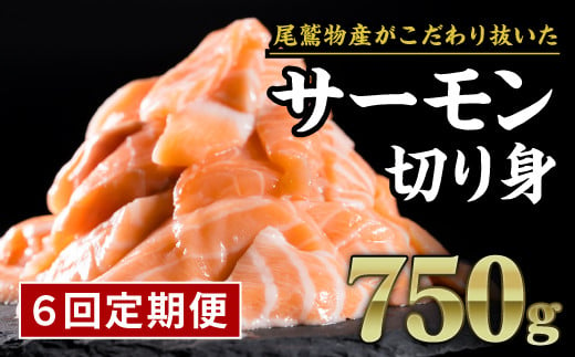 
            【定期便６回】】年内発送 12月末までにお届け 生食用 サーモン 切り落とし 750g (150g ×5パック) 小分け 鮭 サーモン アトランティックサーモン 国際規格SQF2000 さけ シャケ しゃけ sake カルパッチョ ソテー レアステーキ 人気 高級 大満足 生食用 刺身 お刺身 刺し身 魚介類 海鮮 冷凍 厚切り 薄切り ふるさと納税 ふるさとチョイス 三重県 尾鷲市 OB-27
          