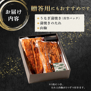 鰻蒲焼 ハーフカット 14枚 すみの坊 秘伝のタレ 手焼き 真空パック こだわりの 富士山湧水 ウナギ 土用丑の日 三島 うなぎ 晩ごはん 家族 惣菜
