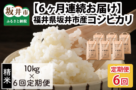 【令和6年産・新米】【6ヶ月連続お届け】福井県坂井市丸岡町産 コシヒカリ10kg×6回　計60kg（精米） [J-11306_03]