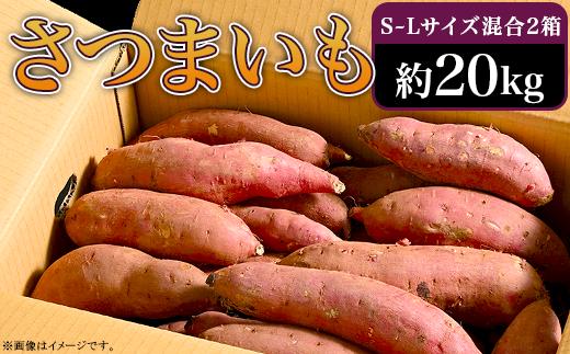 
66-07 さつまいも 約20kg S～Lサイズ混合2箱 生芋 紅はるか
