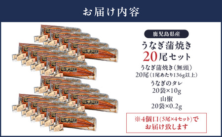 2122 鹿児島県産 うなぎ蒲焼 20尾 KN058-002-20 うなぎ 国産 本格 鰻 ウナギ 蒲焼 冷凍 湯煎 レンジ 解凍 簡単調理 鰻丼 鰻重 ひつまぶし 魚 土用の丑 無頭 西日本養鰻 ふ