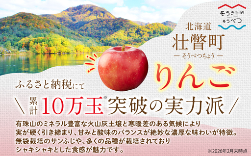 【先行予約】北海道壮瞥町産りんご「サンつがる」約3kg(8～11玉)＜2026年9月下旬よりお届け＞ SBTF001