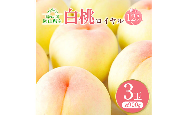 【先行予約】岡山白桃ロイヤル 3玉 計約900g 橋田商店有限会社《7月上旬-8月中旬頃出荷》 岡山県 浅口市 岡山県産 もも フルーツ 果物 くだもの 白桃 送料無料 ---124_c3761_7a8b_25_20000_900g---