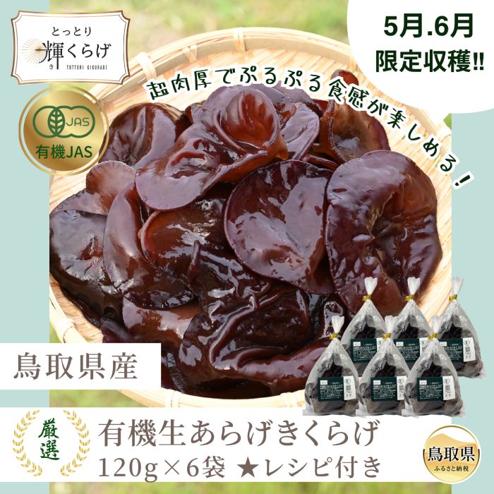 【ふるさと納税】鳥取県産有機生あらげきくらげ（6パック入）レシピ付_T2600417