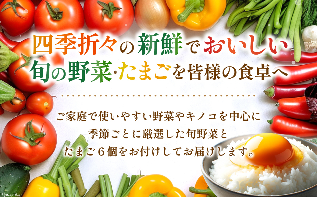 野菜 野菜セット やさい ヤサイ 新鮮 旬 たまご 卵 タマゴ 長崎