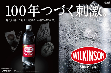 強炭酸水 ウィルキンソンタンサン PET500ml×2箱(48本入り)【TAC】アサヒ 炭酸