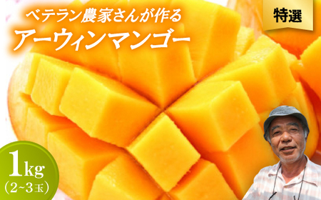 【2026年7月から順次発送・特選】ベテラン農家さんが作る アーウィンマンゴー1kg(2～3玉)【配送不可地域：離島】【1695292】