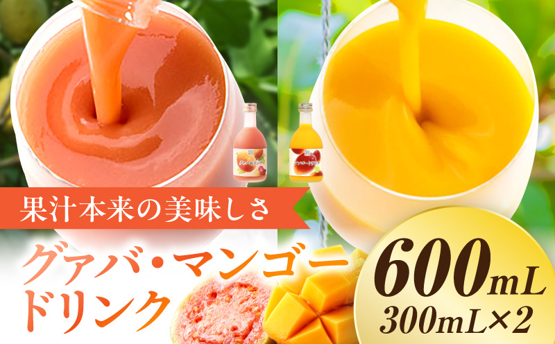 とろーり果実感！ハーフボトル グァバ・マンゴードリンク2本セット(300ml×各1本)_K021-028