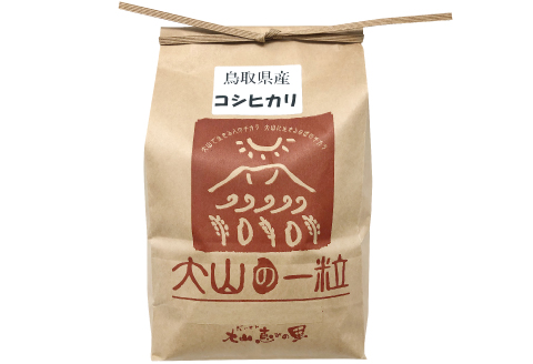 大山の一粒　玄米 2kg