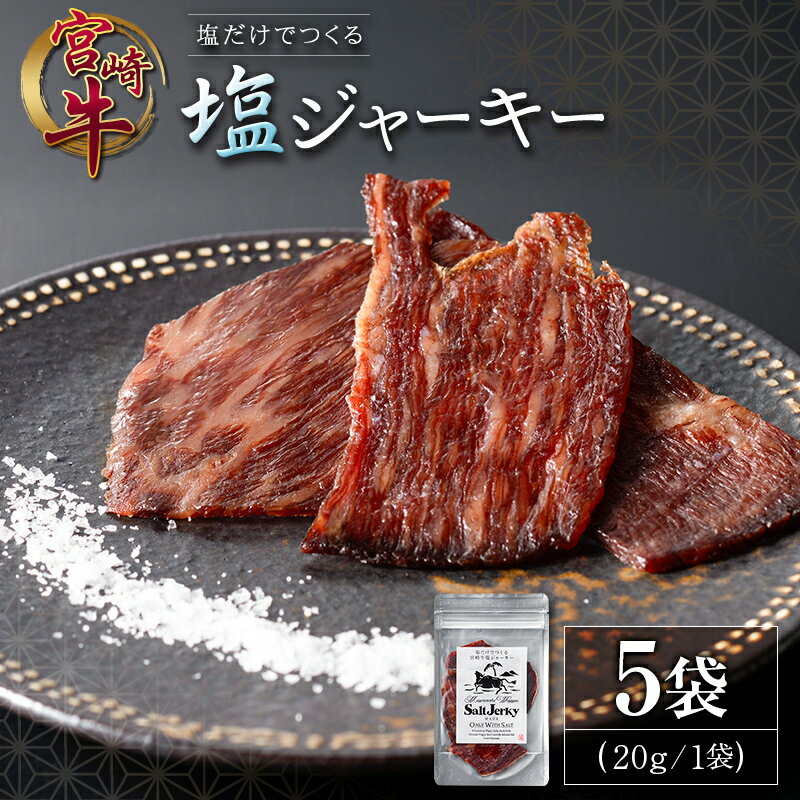 【ふるさと納税】塩だけでつくる 宮崎牛 塩ジャーキー 5袋（20g×5袋）ブランド牛 ビーフジャーキー おつまみ 珍味 グルメ 干し肉 宮崎県産