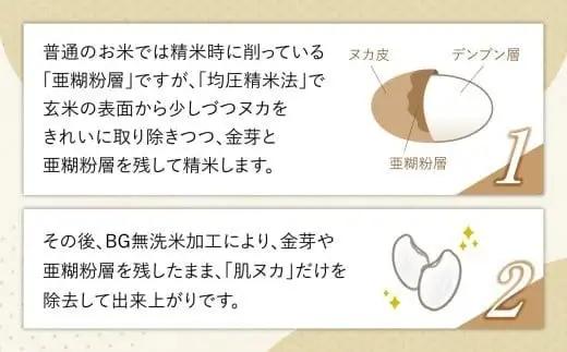 金芽米 10kg  宮城県産金芽米