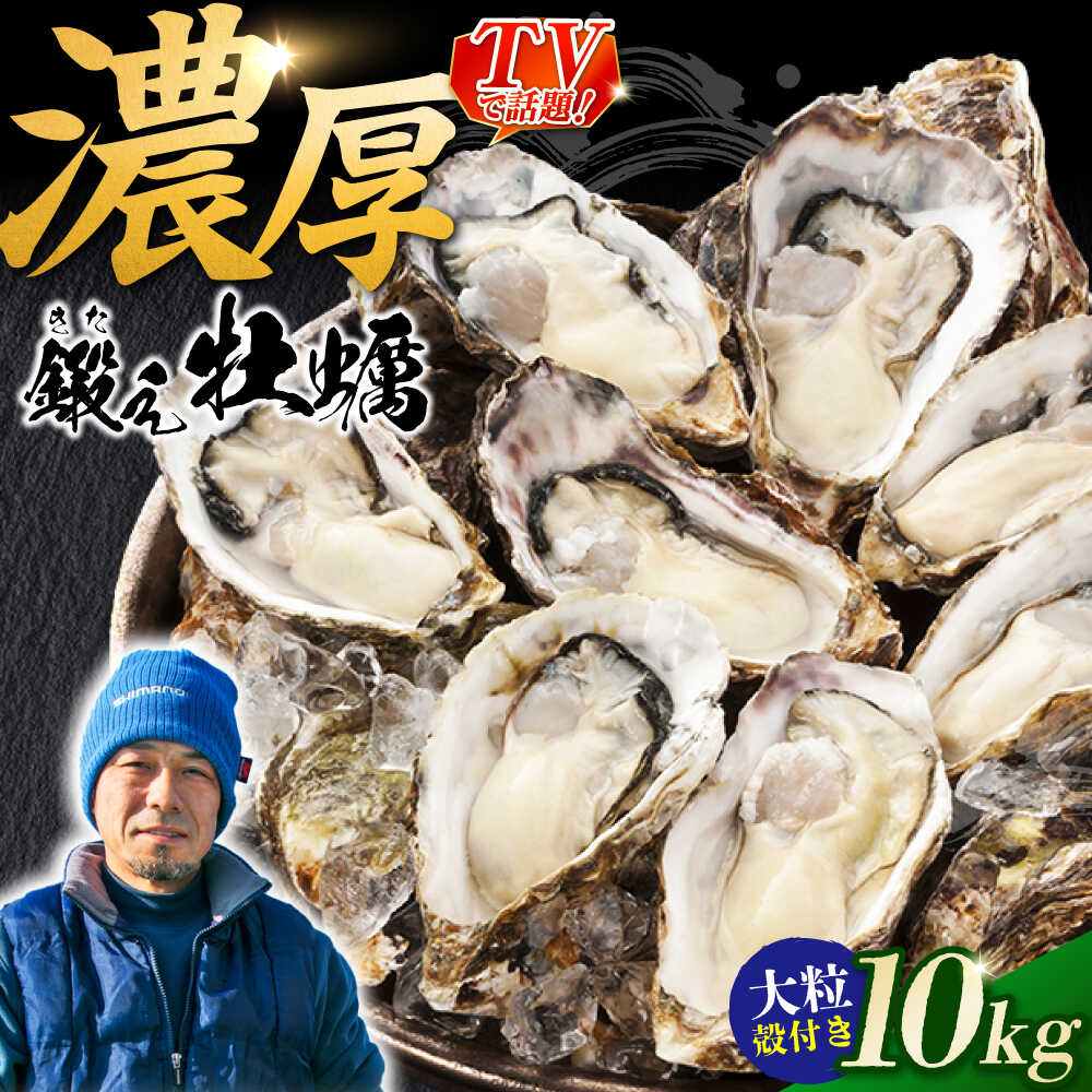 【ふるさと納税】テレビで話題！ (瞬間冷凍) 江田島牡蠣 殻付き 10kg 人気 海鮮 BBQ 簡単 レシピ ギフト 広島県産 牡蠣 冷凍 むき身 殻付き かき カキ 生牡蠣 カキフライ 広島牡蠣 江田島市/有限会社寺本水産[XAE067]