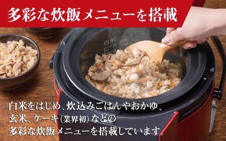 【都市ガス・レッド】家庭用マイコンジャー付ガス炊飯器「炊きわざ」10合タイプ　PR-M18TR