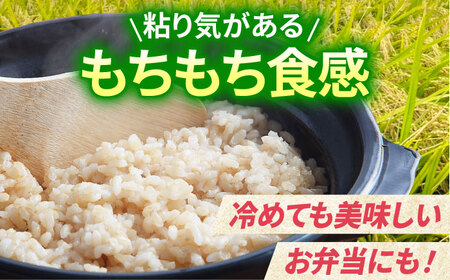 令和5年産 新米 がばいうまかエガシライス（夢しずく）玄米 15kg（5kg×3袋）【江頭農園】[HAU004]