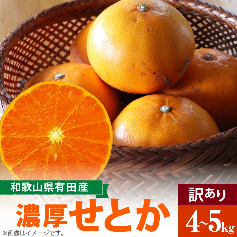 【ふるさと納税】【2026年先行予約】【限定】 柑橘の王様 和歌山有田の濃厚せとか 【訳あり 家庭用】 4～5kg【ミカン 蜜柑 春みかん 柑橘】