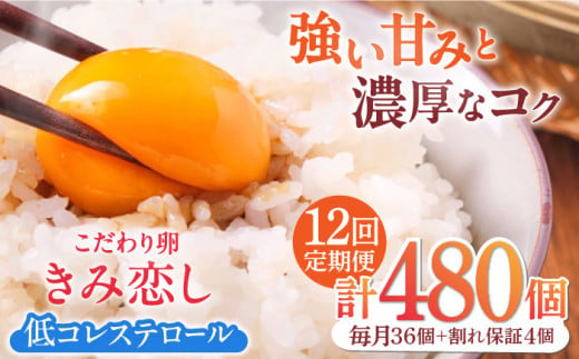 【12回定期便】きみ恋し 箱入り 40個（36個+割れ保証4個）×12ヶ月　総計480個 たまご 卵 玉子 タマゴ 鶏卵 濃厚 玉子焼き 卵焼き オムレツ たまごかけご飯 冷蔵 広川町 / 伊藤養鶏場